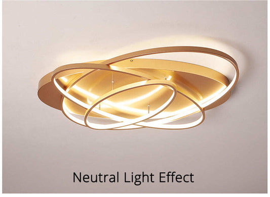 Oval Led Ceiling Lights Luminaire Plafonnier For Living Room Kitchen Bedroom Lampen Modern Light Fixtures Verlichting