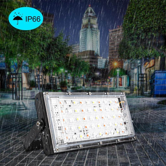 Led Spotlight Outdoor RGB Flood Light 50W 100W AC Waterproof IP66 Reflector Projector Lamp With Color Remote Controller