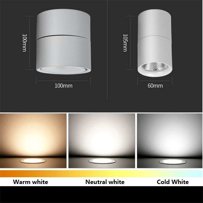 3W/5W/7W/10W12W Dimmable LED Surface Mounted Ceiling Lamp ,Foldable And Rotatable COB Corridor Spot Wall Light