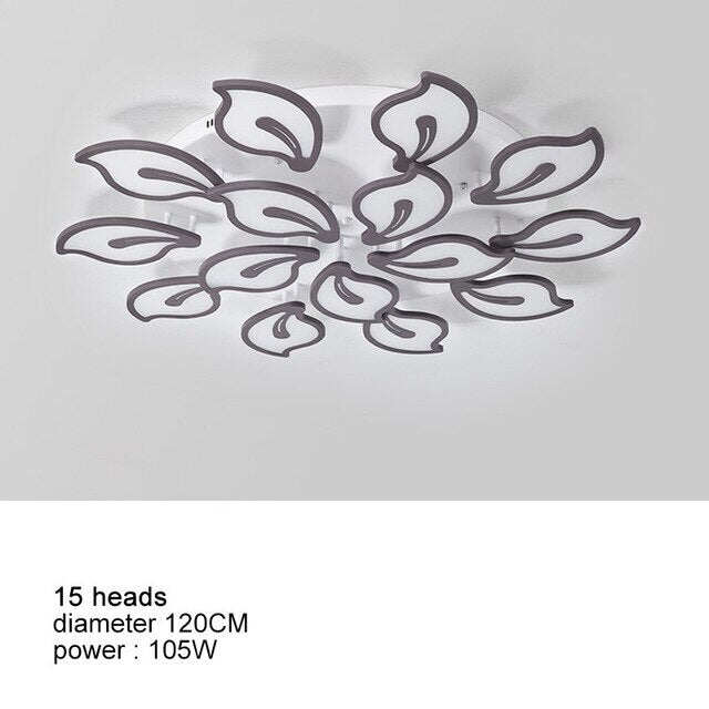 Modern LED Ceiling Lights For Living Room Acrylic Bedroom Lamp Home Decor Plafon Kitchen Fixtures With Remote Dimmable