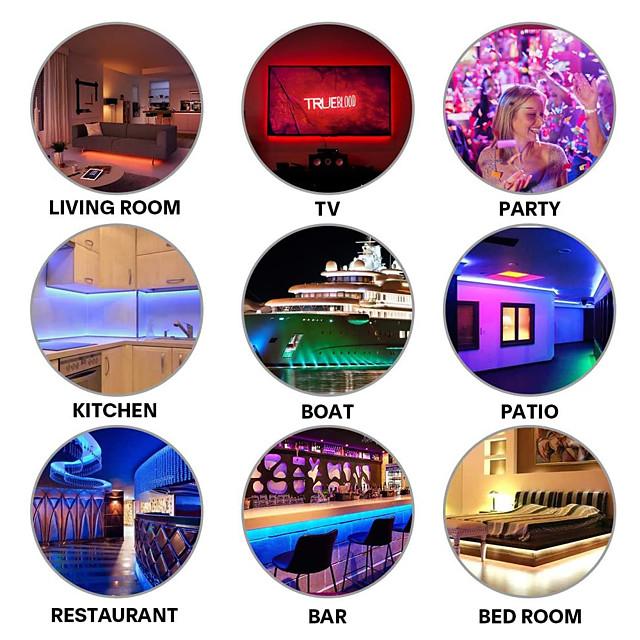 65FT LED Light Strips Waterproof Flexible with IR 44 Key Double Outlet Controller Extended Flexible Strip Lights for Bedroom Party Home Decration 360LEDs 5050SMD 10mm RGB 2x32.8FT