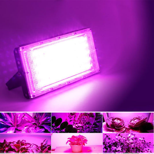 Led Floodlight 50W 100W Outdoor led Spotlight Full Spectrum LED Grow Light For Plants Tent Flower Seeding Indoor Grow