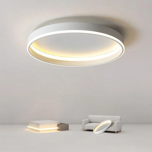 Modern LED Ceiling Light Chandelier For Bedroom Living Dining Room Indoor Home Decor Light Fixture