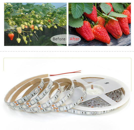 LED Grow light Full Spectrum 5M LED Strip light 5050 LED Flower Plant Phyto Growth lamps For Greenhouse Hydroponic Plant Growing
