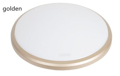 High Brightness Ultra-Thin Ceiling Light LED Lamp DIA 28/38 Indoor Lighting Waterproof Dustproof PVC Decoration Light Fixture