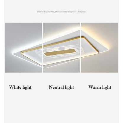 Living Room Ceiling Lamp Creative Feather Light Luxury LED Lamps