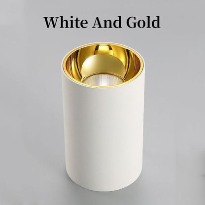 Surface Mounted LED Round COB Ceiling Bulbs Lamp Downlight 7W/9W12W/15W/18W Warm / Cold White Home Lighting