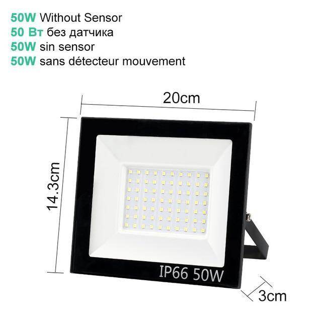 10W 20W 30W 50W 100W LED Floodlight Waterproof PIR Motion Sensor Floodlight Outdoor Wall Lamp Flood Light Spotlight