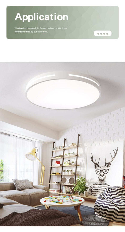 Modern LED Ceiling Light Lamp Lighting Fixture Surface Mount Flush Remote Control Dimmable 18W 48W Living Room Bedroom Balcony