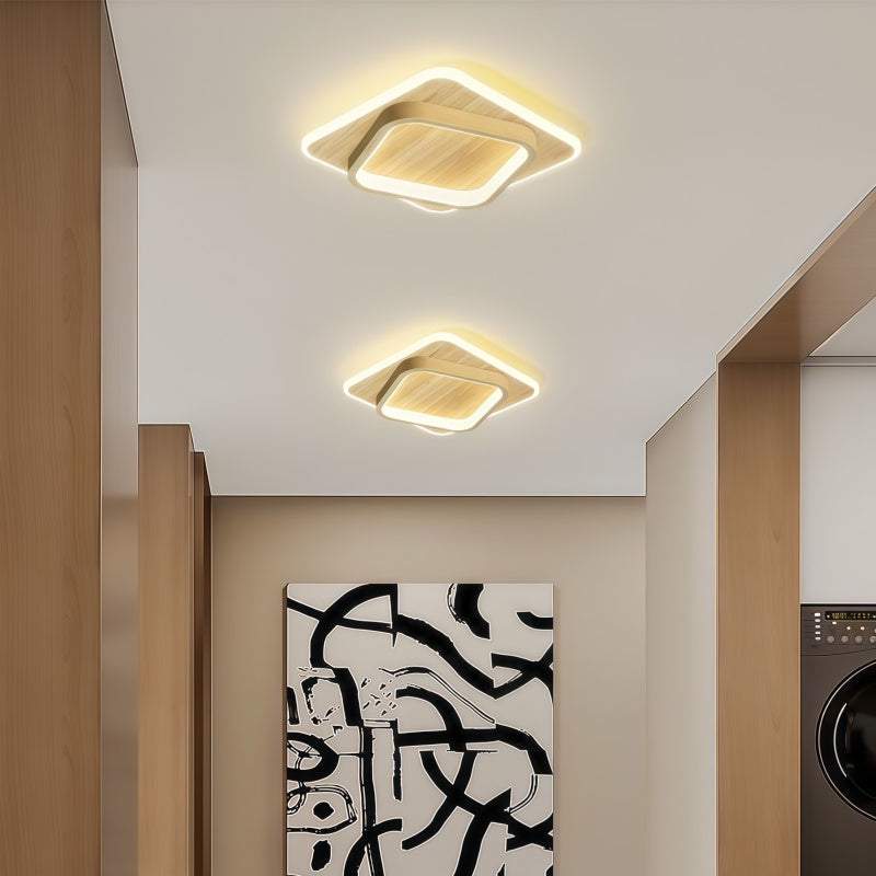Modern Minimalist LED Ceiling Light Creative Decor Lighting Fixture Staircase Aisle Luxury Ceiling Lamp