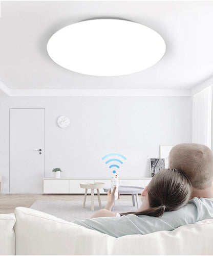 Modern LED Ceiling Light Lighting Fixture Lamp Surface Mount Living Room Bedroom Bathroom Remote Control Home Decoration Kitchen