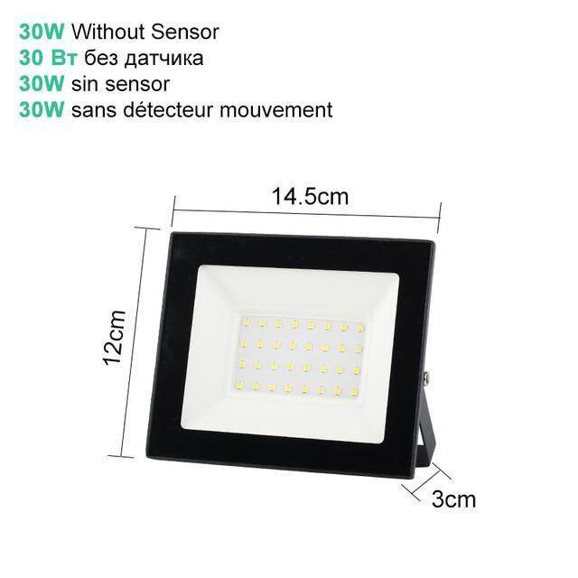10W 20W 30W 50W 100W LED Floodlight Waterproof PIR Motion Sensor Floodlight Outdoor Wall Lamp Flood Light Spotlight