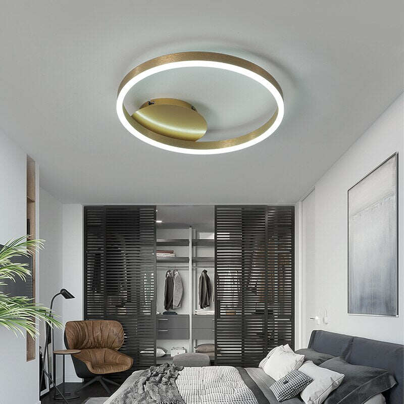 Led Ceiling Lights For Living Room Bedroom Remote Control Lamparas DeTecho Surface Mount White Indoor Lighting Fixture