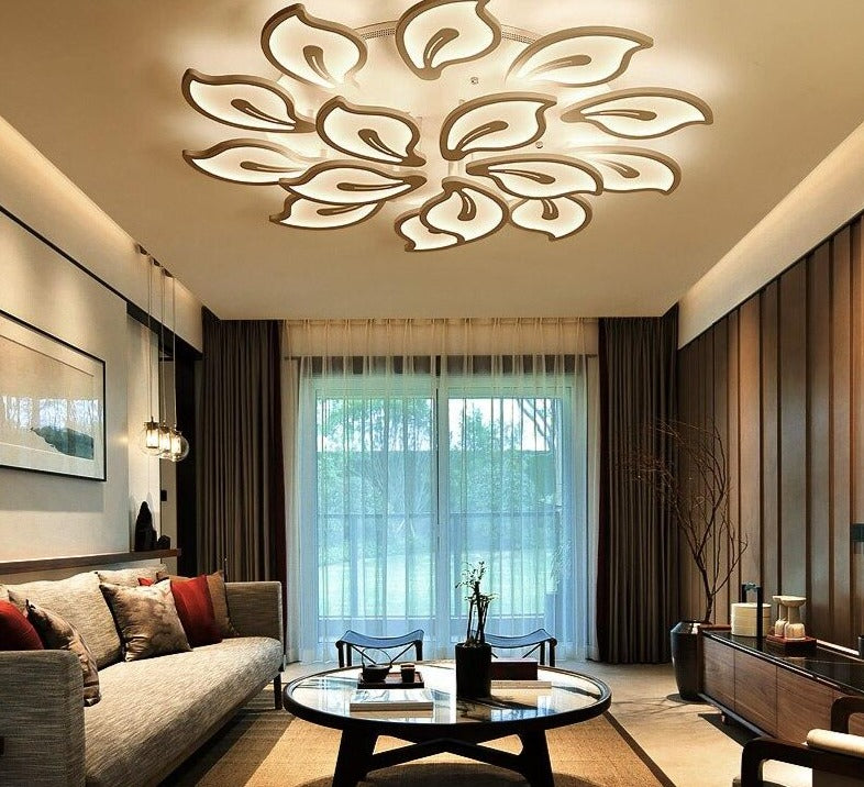 Modern Acrylic Design Ceiling Lights Bedroom Living Room Ceiling Lamp LED Home Lighting Ceiling Light Lanterns