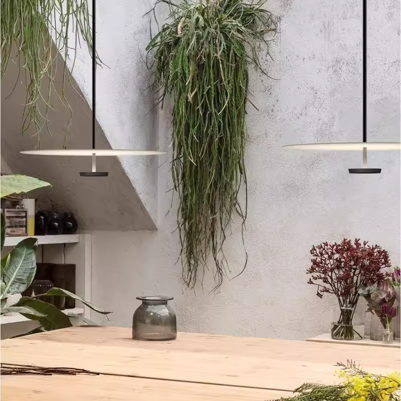 Nordic Minimalist LED Disc Hanging Lights for Restaurant Coffee Table Bedroom Bar Home Pendant Lights