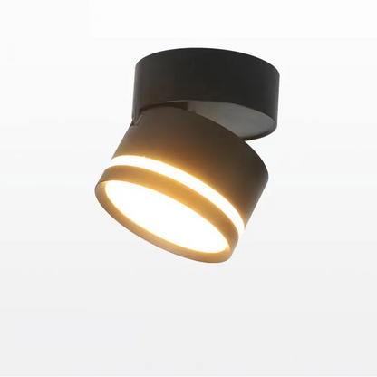 Rotating LED Full Spectrum Surface Mounted Dimmable Downlight  Anti Glare Ceiling Lamp 5W7W10W15W20W Spotlight Indoor