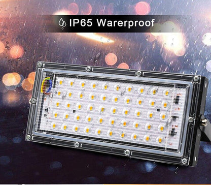 Outdoor Lighting Led Flood Light 50W 100W waterproof Spotlight Projector Full Spectrum Led Grow Light For plant growth lamp