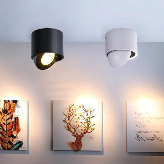 Dimmable Surface Mounted LED COB Downlight 5W/7W/9W/15W LED Lamp Ceiling Spot Light with LED Driver White/Warm White