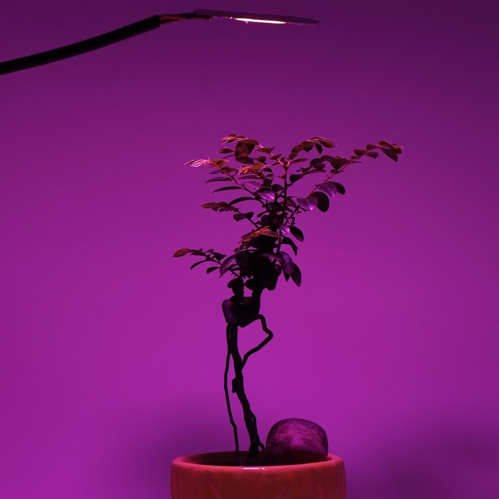 COB Chip LED Grow Light Phyto Lamp  20W 30W 50W Full Spectrum No need driver For Growth Flower Seedling Grow Plant