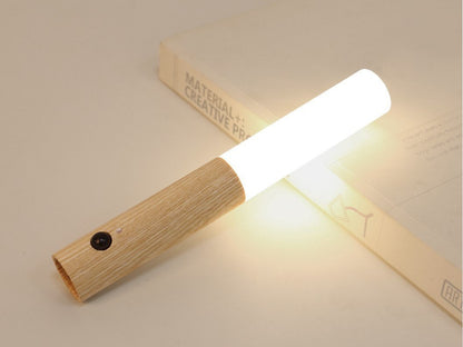 Intelligent Human Body Induction Small Night Light LED Household Charging Corridor Induction Light