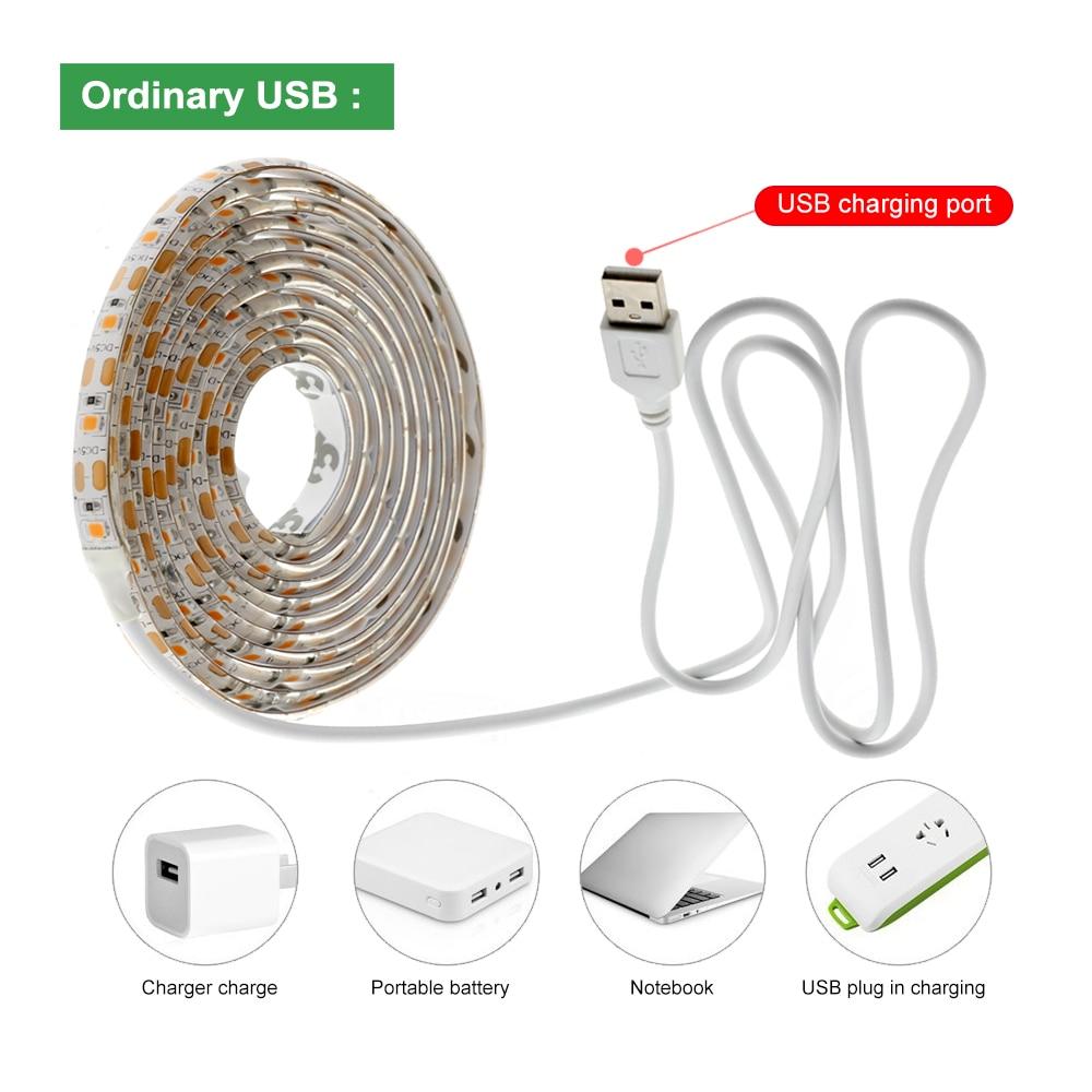 USB Phytolamps for Plants 5V LED Grow Light Strip 2835 Chip 1m 2m 3m LED Phyto Tape for Hydroponic Greenhouse Seedlings Growth