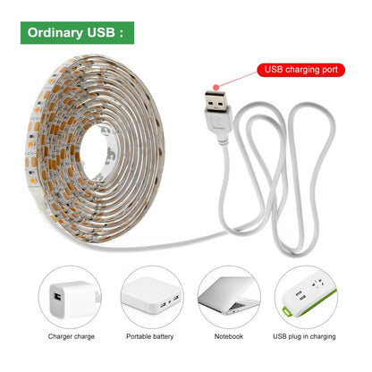 USB Phytolamps for Plants 5V LED Grow Light Strip 2835 Chip 1m 2m 3m LED Phyto Tape for Hydroponic Greenhouse Seedlings Growth