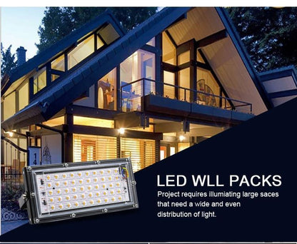 Led Floodlight 50W 100W Outdoor led Spotlight Full Spectrum LED Grow Light For Plants Tent Flower Seeding Indoor Grow