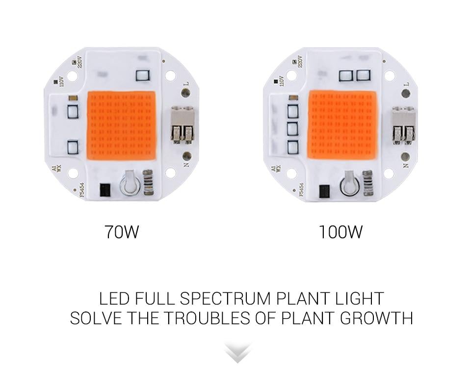100W 70W 50W Welding Free LED COB Chip for Plants Growing Grow Tent  LED Grow Light Full Spectrum LED Phyto Lamp