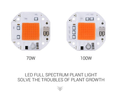 100W 70W 50W Welding Free LED COB Chip for Plants Growing Grow Tent  LED Grow Light Full Spectrum LED Phyto Lamp