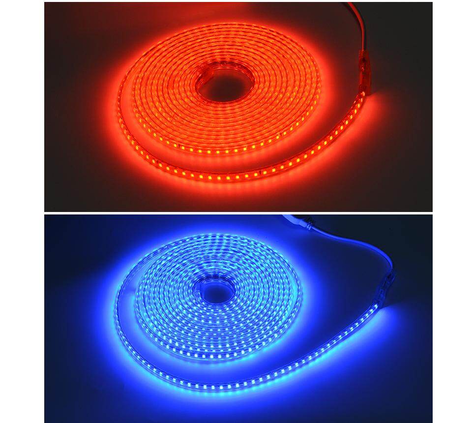 Super Bright SMD2835 Dimmable 220V LED Strip Light 1M/5M/10M/15M/20M/25M Kitchen Outdoor Garden Lamp Tape with EU Plug