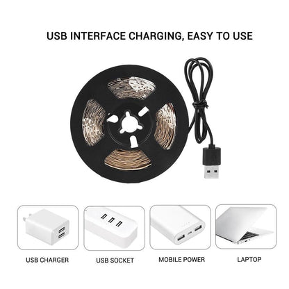 DC  USB LED Grow Light Strip Lamp Full Spectrum Fitolampy For Vegetable Flower Seedling Plant Light Tent Growing Phyto Lamps