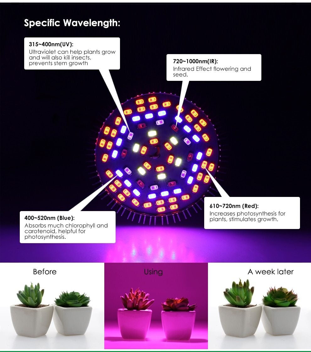 LED Grow Light Full Spectrum 6W/10W/30W/50W/80W E27 UV IR LED Growing Bulb for Indoor Hydroponics Flowers Plants LED Growth Lamp