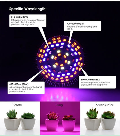 LED Grow Light Full Spectrum 6W/10W/30W/50W/80W E27 UV IR LED Growing Bulb for Indoor Hydroponics Flowers Plants LED Growth Lamp