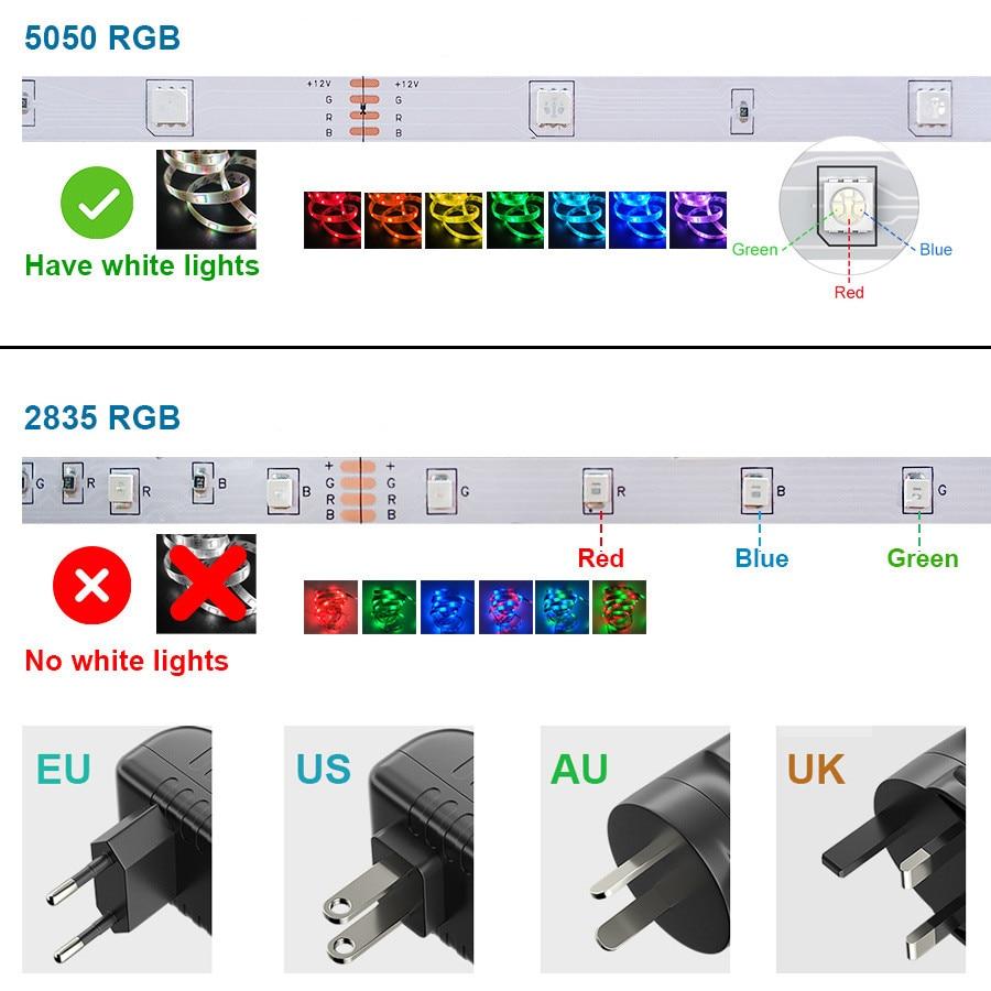 5050 SMD Bluetooth LED Strip Lights 30M 20M RGB LED LightFlexible Ribbon Waterproof Tape Diode DC 12V Bluetooth Control-1
