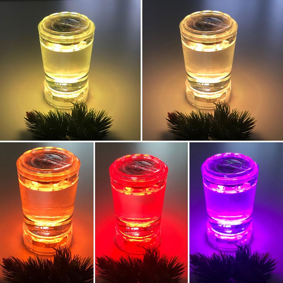 Underwater Light Waterproof Battery Operated 10LED Multi Color Submersible LED Lamp for Fish Tank Swimming Pool Wedding Party
