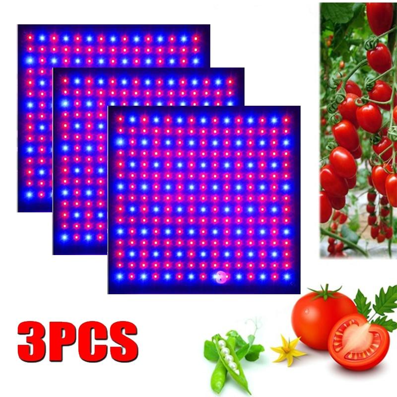 3pcs LED Grow Light 1000W Lamp For Plants Full Spectrum Phyto Lamp Fitolampy Indoor Herbs Light For Greenhouse Led Grow Tent Box
