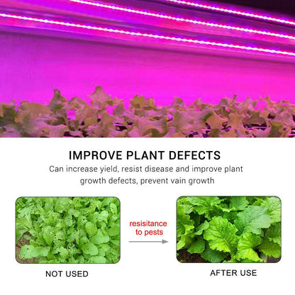 USB LED Grow Light Full Spectrum waterproof LED Strip Lights 2835 60LEDs Phyto Lamps For Greenhouse Hydroponic Plant Growing