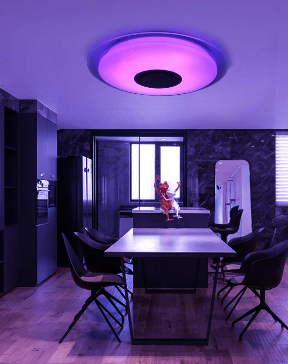 LED Music Ceiling Light RGB Bluetooth Speaker Lamp Home Party Bedroom 36W 40W  Remote Dimmable APP Smart Colorful Lighting