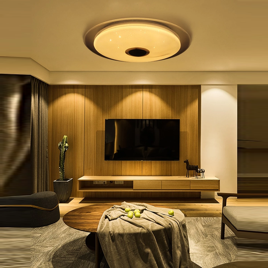LED Music Ceiling Light RGB Bluetooth Speaker Lamp Home Party Bedroom 36W 40W  Remote Dimmable APP Smart Colorful Lighting
