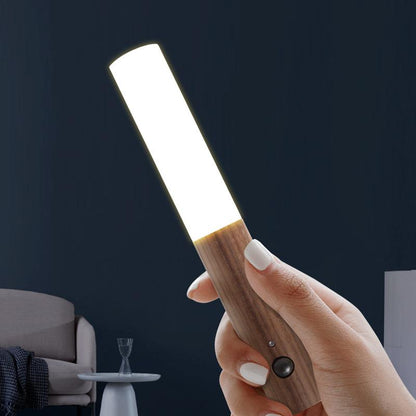 Intelligent Human Body Induction Small Night Light LED Household Charging Corridor Induction Light