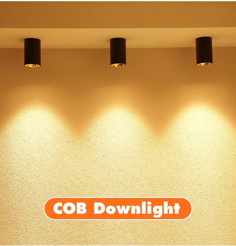 New Arrival Surface Mounted COB Downlight LED 5W 7W 10W 15W Ceiling Downlight Anti-glare illumination