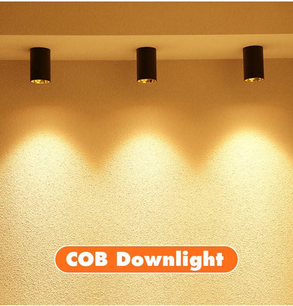 New Arrival Surface Mounted COB Downlight LED 5W 7W 10W 15W Ceiling Downlight Anti-glare illumination