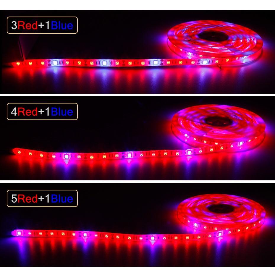 Plant Grow lights 1m 2m 3m 4m 5m Waterproof Full Spectrum LED Strip Flower phyto lamp Red blue 4:1 for Greenhouse Hydroponic