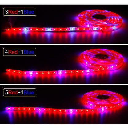 Plant Grow lights 1m 2m 3m 4m 5m Waterproof Full Spectrum LED Strip Flower phyto lamp Red blue 4:1 for Greenhouse Hydroponic
