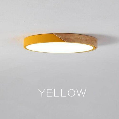Modern LED Ceiling Light Surface Mount Flush Lamp Indoor Lighting Fixture Living Room Bedroom Kitchen Remote Control Dimmable