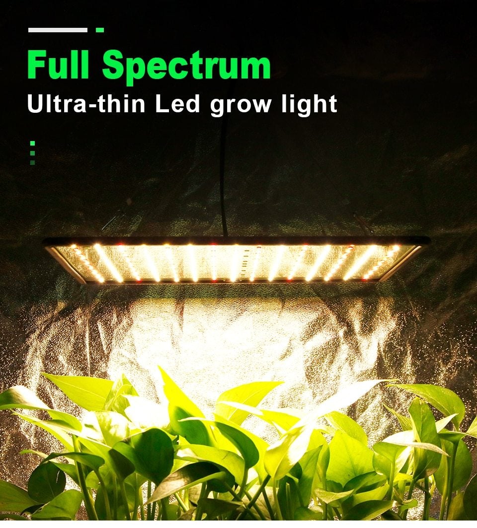 3500K Grow Tent Lamp 1000W LED Grow Light Panel Phyto Lamp For Plant Full Spectrum Led Lights For Indoor Growing Flowers Herbs