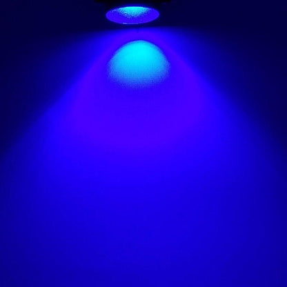 5W Mini RGB Led Lawn Garden Light 12V 85-265V Outdoor IP65 Waterproof Landscape Spot Light Lamps White Red Blue Green Spike lamp