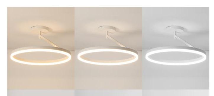 Black and White LED Ceiling Lamp Bedroom Lamp Modern Simple Living Room Net Red Room Round