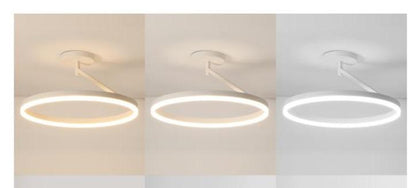Black and White LED Ceiling Lamp Bedroom Lamp Modern Simple Living Room Net Red Room Round