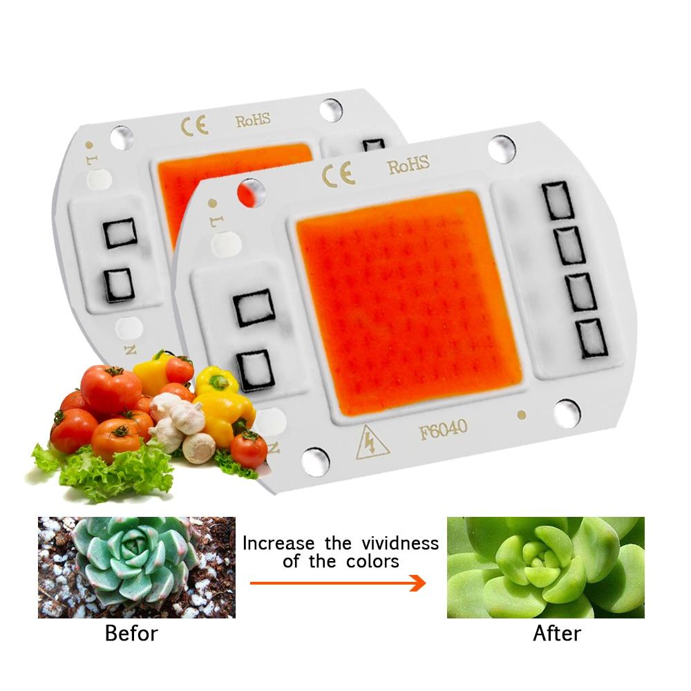 COB Chip LED Grow Light Phyto Lamp  20W 30W 50W Full Spectrum No need driver For Growth Flower Seedling Grow Plant